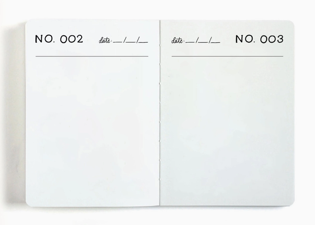 One Hundred Drawings Journal