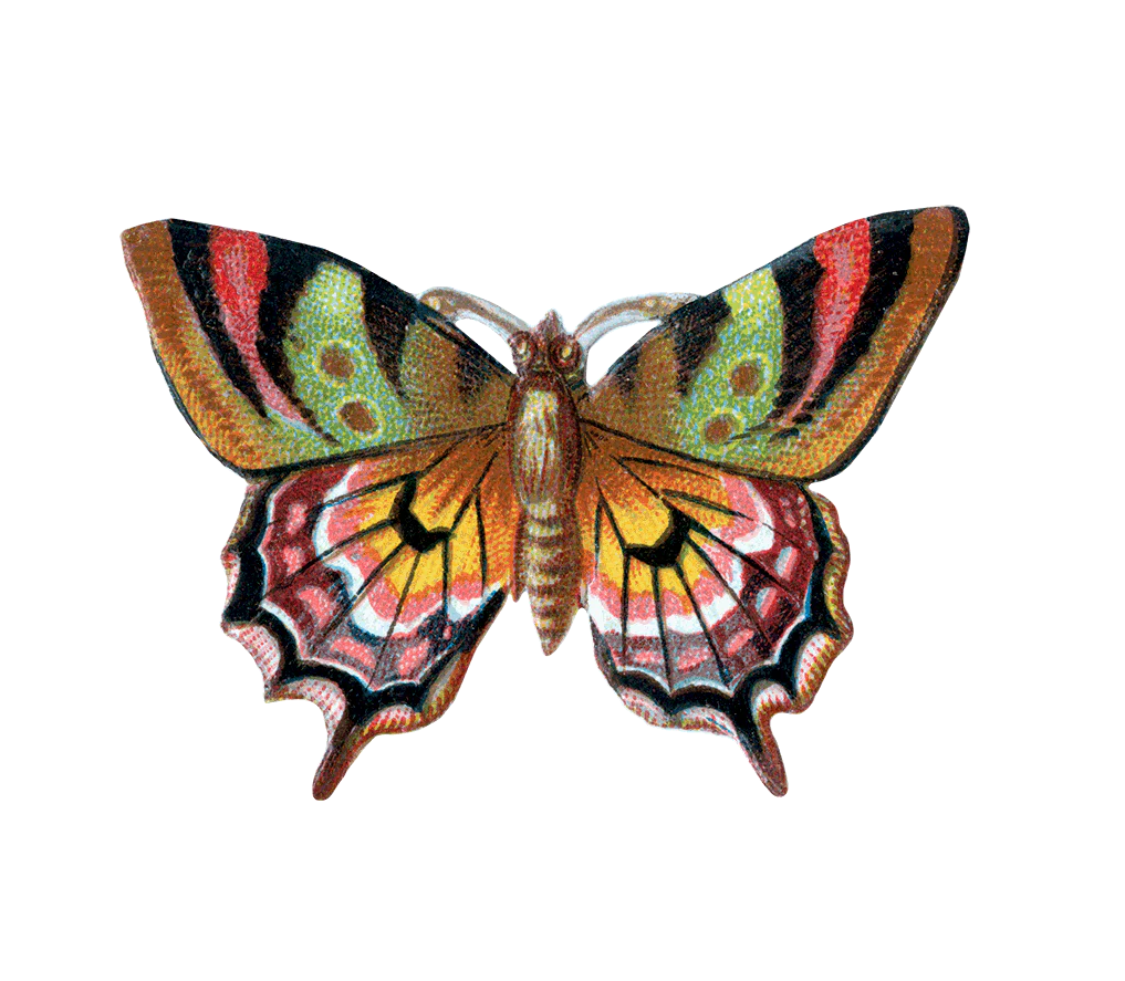 Butterfly Sticker Box