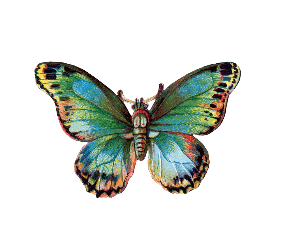 Butterfly Sticker Box