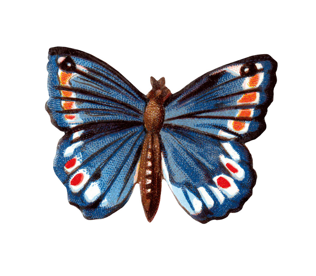Butterfly Sticker Box