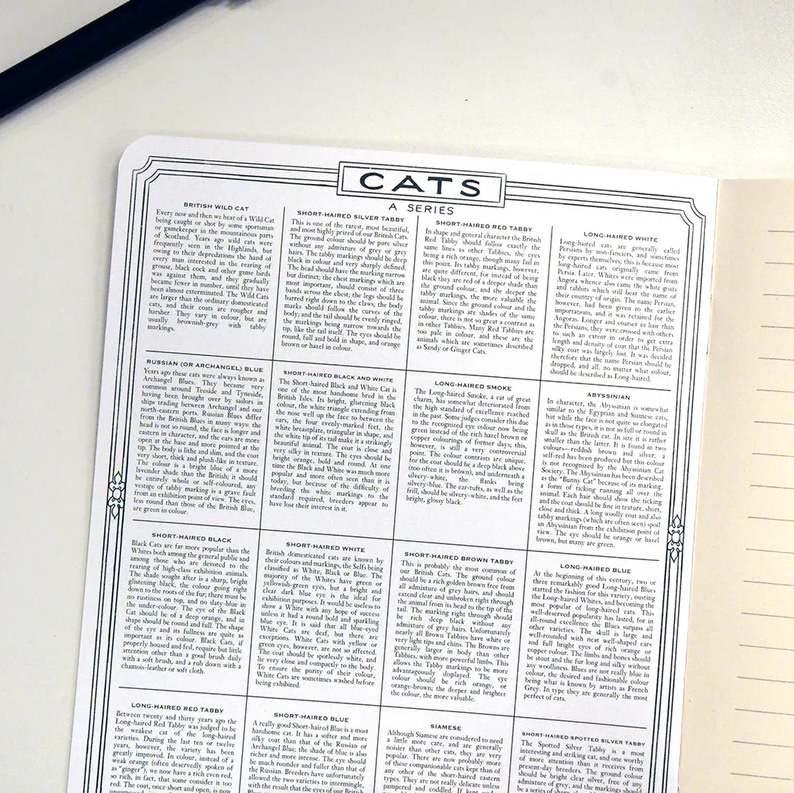 Cats! - NYPL Notebook
