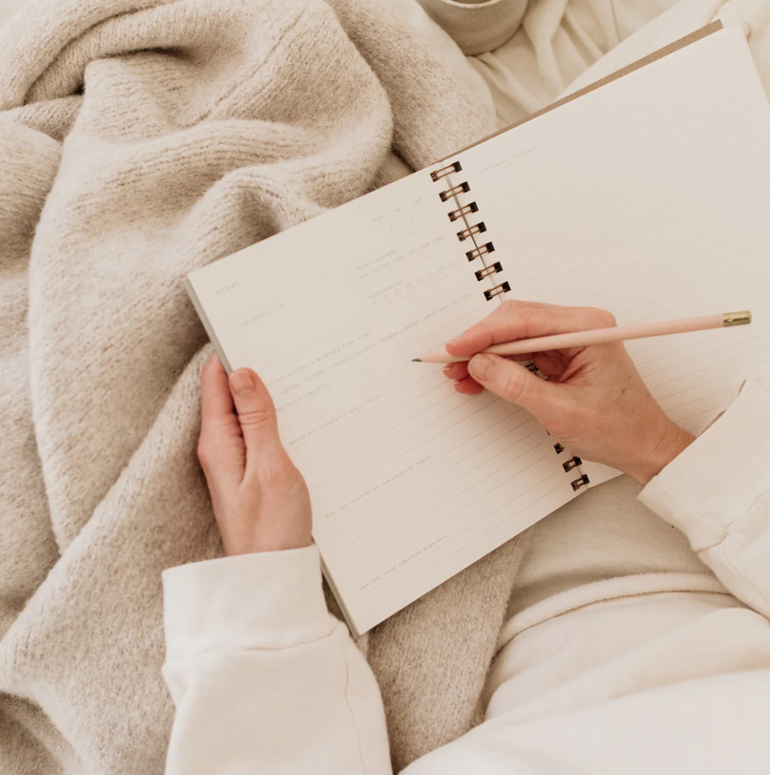 Daily Pause Journal - Light Sage