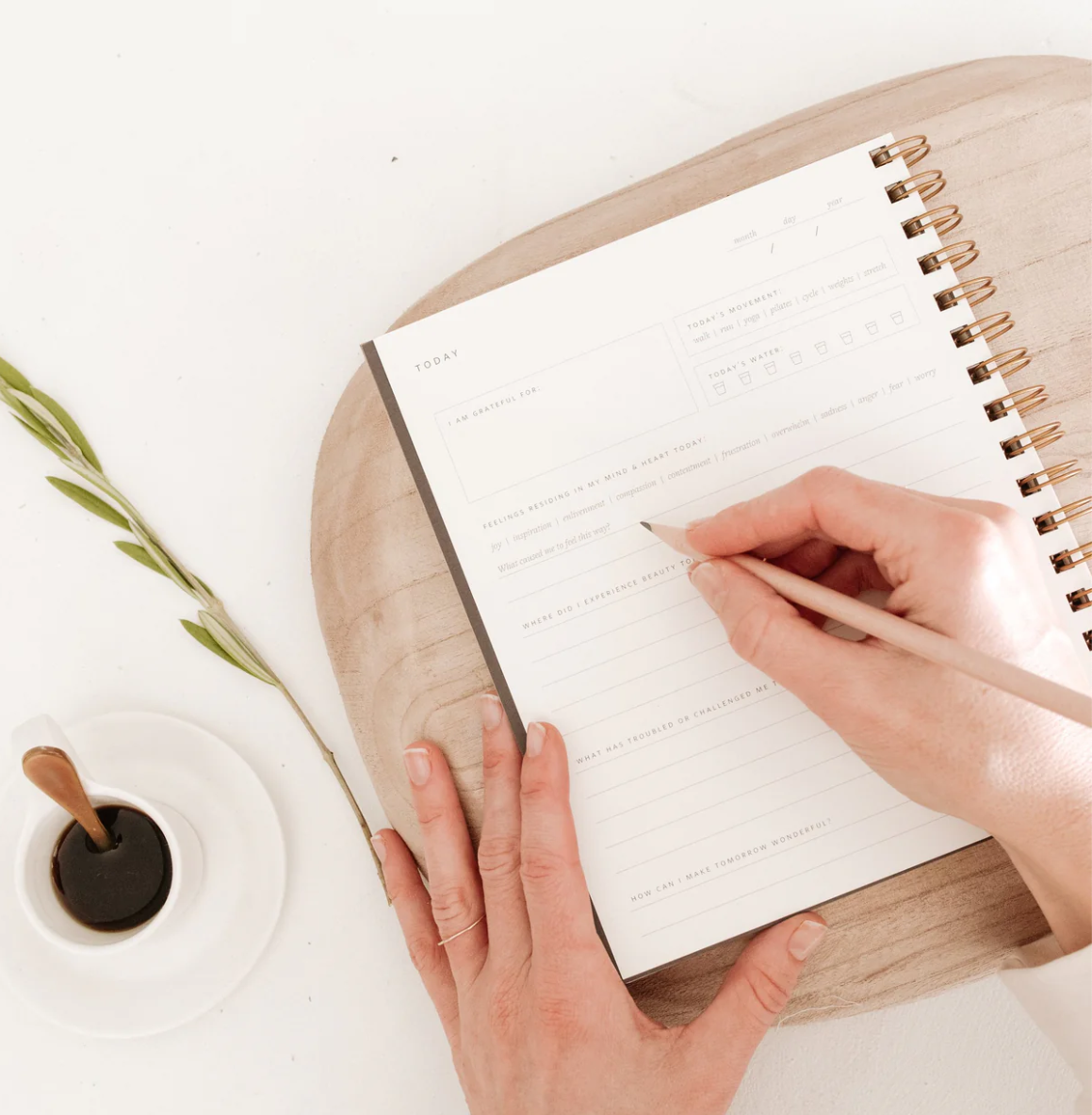 Daily Pause Journal - Light Sage