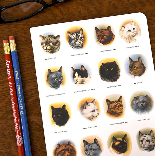 Cats! - NYPL Notebook