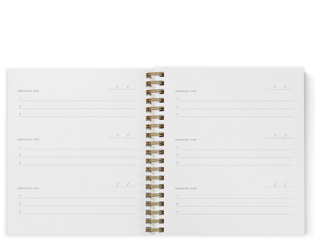 Mini Gratitude Journal - Chalk White