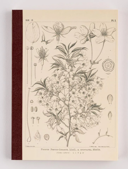 Tomitaro Makino: Hobonichi Graph Notebook (A5) - Yamazakura