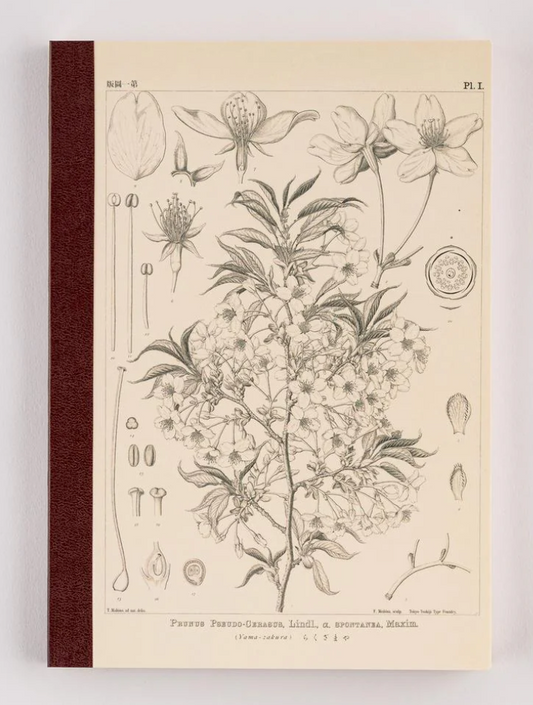 Tomitaro Makino: Hobonichi Graph Notebook (A5) - Yamazakura