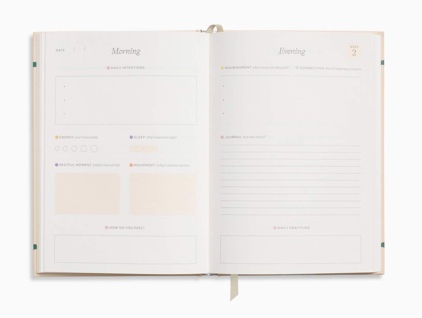 Fairy Flies Foiled Wellness Journal