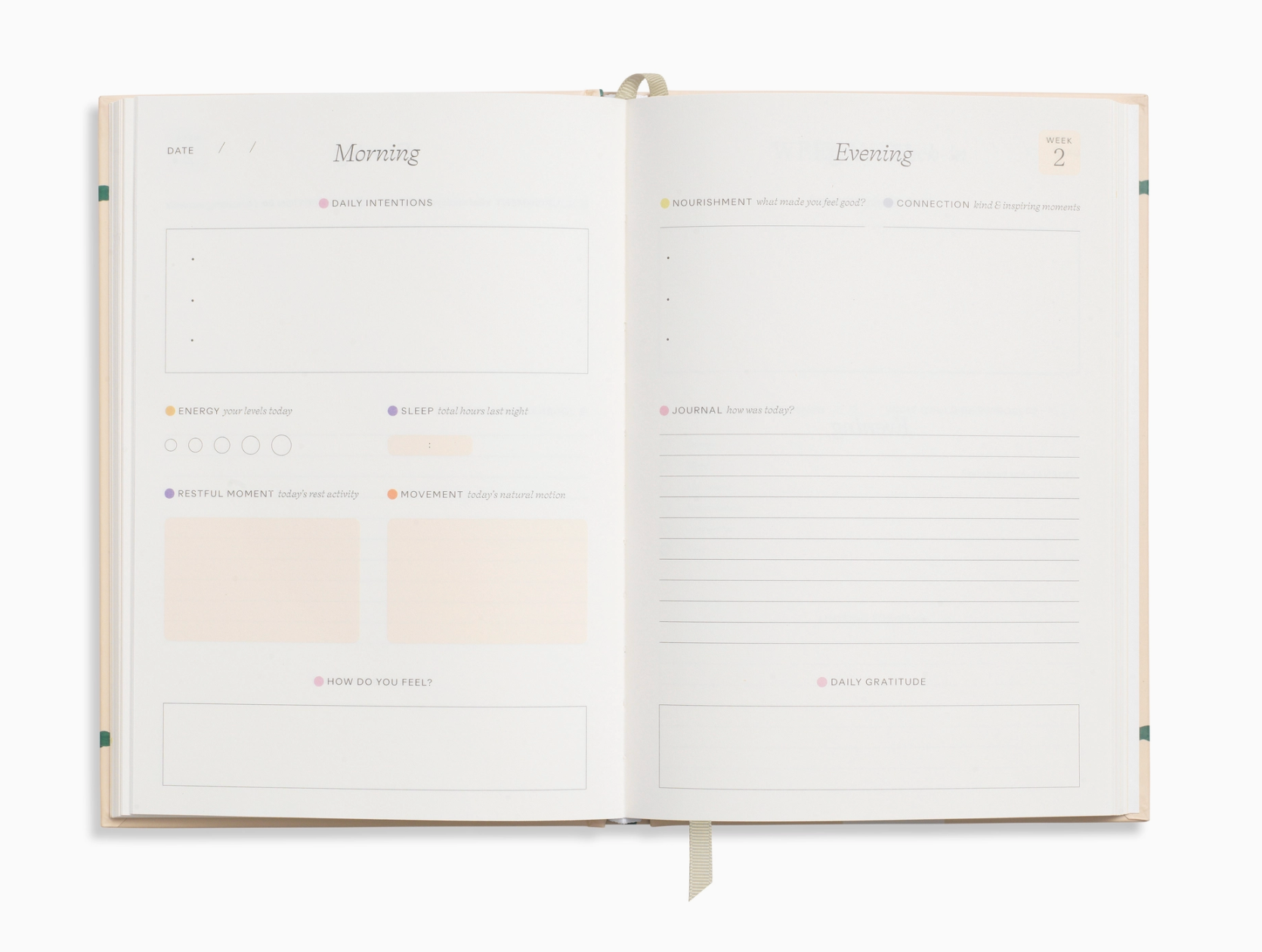 Fairy Flies Foiled Wellness Journal