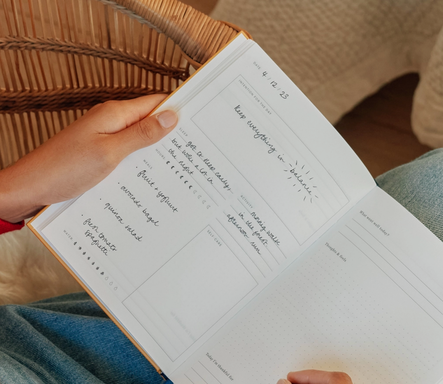 Fairy Flies Foiled Wellness Journal