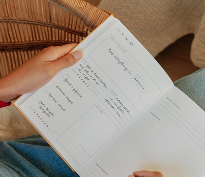 Fairy Flies Foiled Wellness Journal
