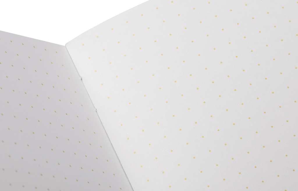Field Notes "Notas De Campo" Paletas 3-Pack