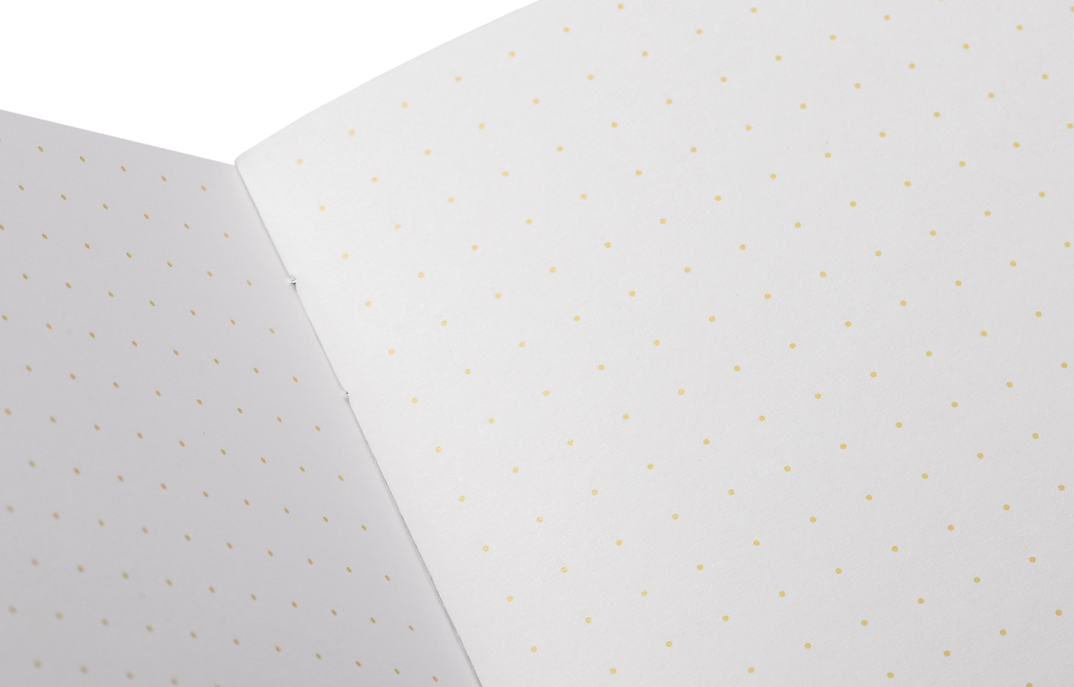 Field Notes "Notas De Campo" Paletas 3-Pack