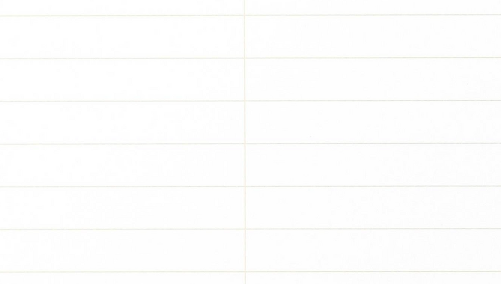 Field Notes Steno