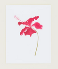 Hibiscus Card